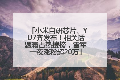 小米自研芯片、YU7齐发布！相关话题霸占热搜榜，雷军一夜涨粉超20万